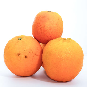 Laranjas de Verão para Sumo Frescas 1 kg