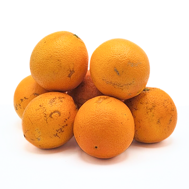 Fresh Algarve Juicing Oranges 1 kg