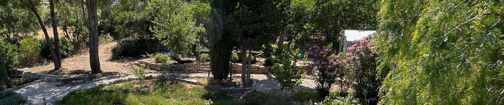 Scenic view of a garden with trees and pathways