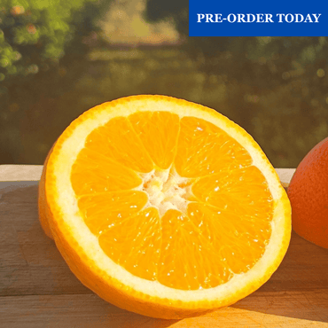 Pre-Order Algarve Oranges Summer Variety 10 kg + 10% free