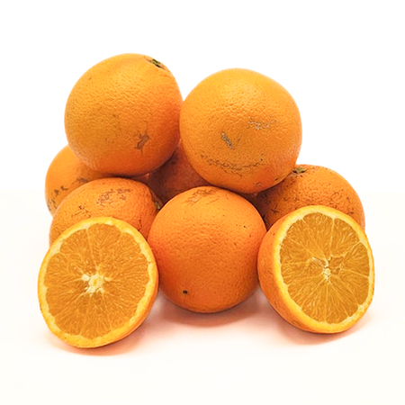Fresh Algarve Juicing Oranges 10 kg for Schools