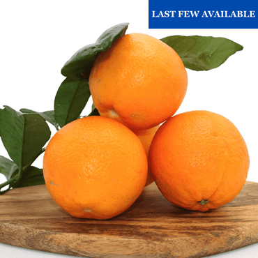 Algarve Oranges 10 kg + 10% free