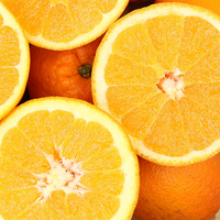Buy sweet, juicy Algarve oranges 10 kg plus 10% free. Fresh citrus fruits grown under the Algarve sun, perfect for juice and healthy snacking.