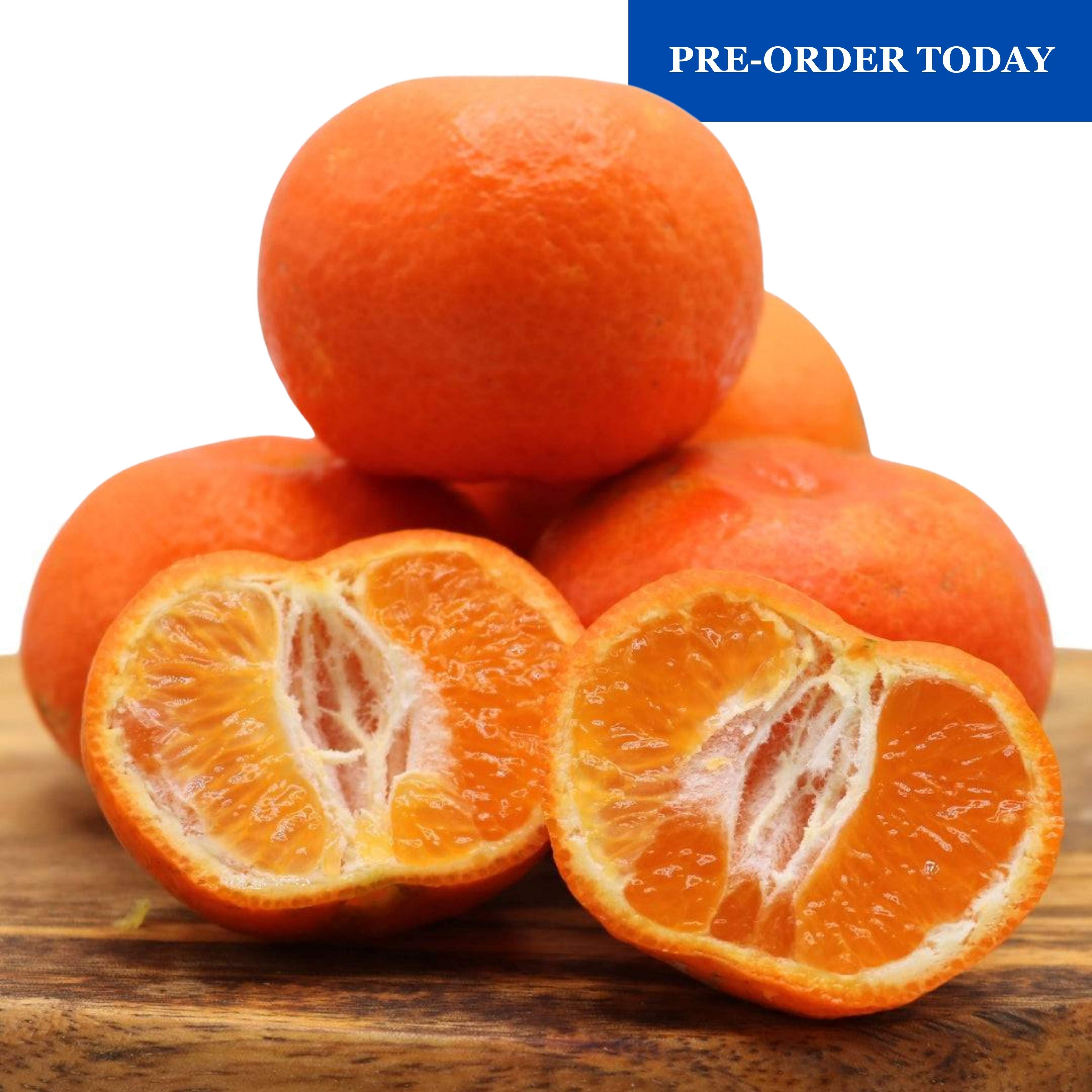 Pre-Order Tangerines from the Algarve 1 kg